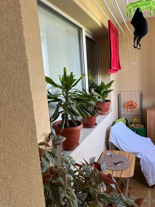 Продава се Двустаен апартамент в Плевен, Дружба 4 - 64 кв.м за 1172 €/кв.м - Снимка #1