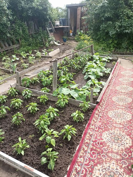 Продам Дачу СРОЧНО