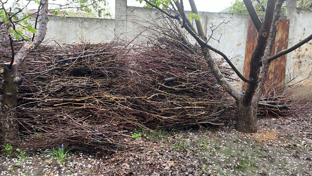 Хворост, дрова для растопки и розжига