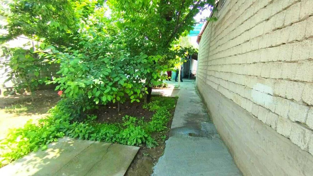 Тайер уй СОТИЛАДИ 4 хона 3.3 сотик Чирчик Ш. Корасув кучаси