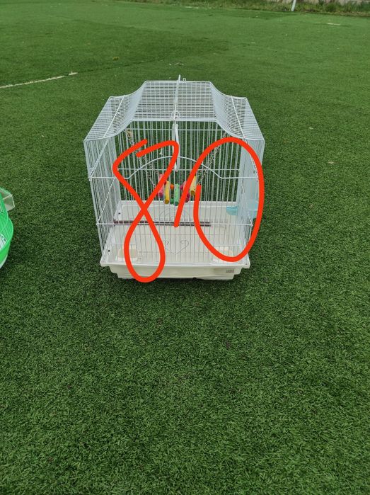 Vând cuști în Iași