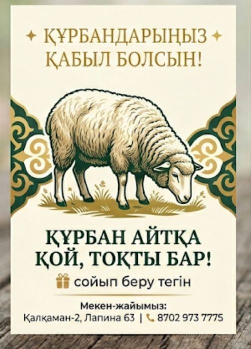 Қой баран тоқты бар СОЙЫП БЕРУ ТЕГІН