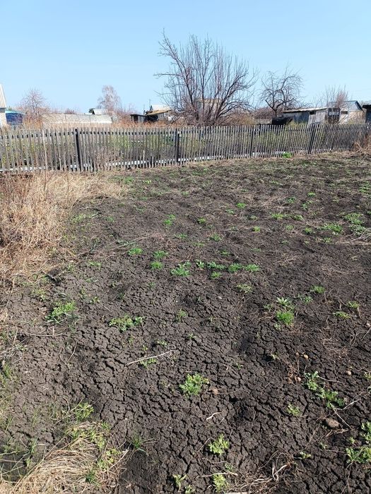 Продам дачу (дачный участок) без построек С/Т " Ракета"