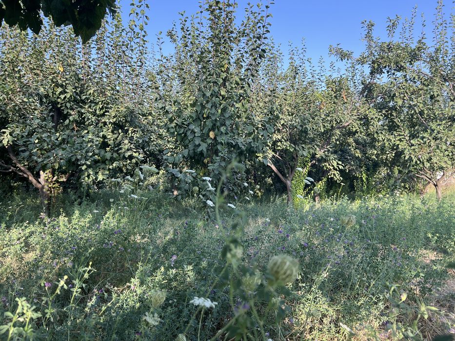 Жер участкесі сатылады