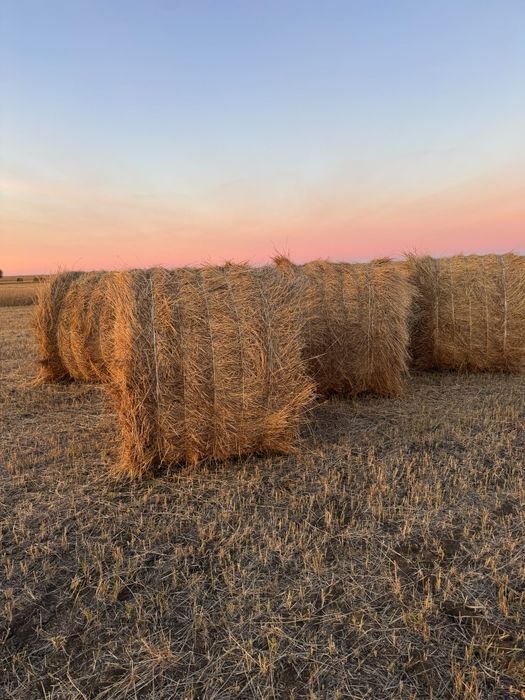Продам сено рулонах