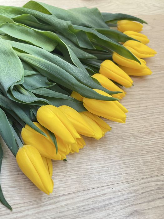 Тюльпаны в наличии