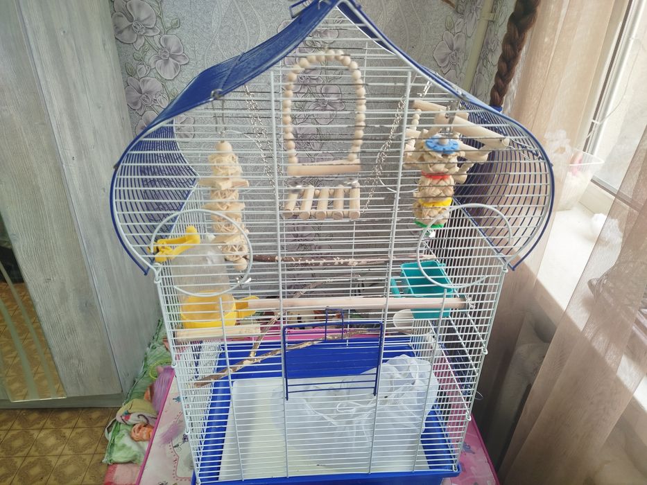 Клетка для корелл и больших птиц