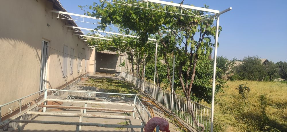 Xovli yer maydini bilan