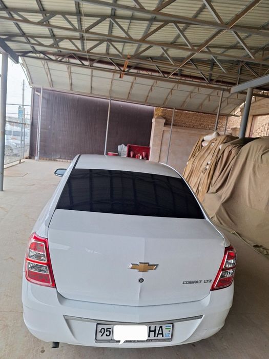 Other Cobalt 2022 — 3