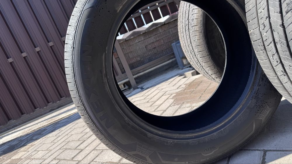 Летние шины Nexen