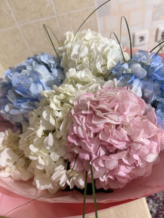 Цветы 10 000 тг продается