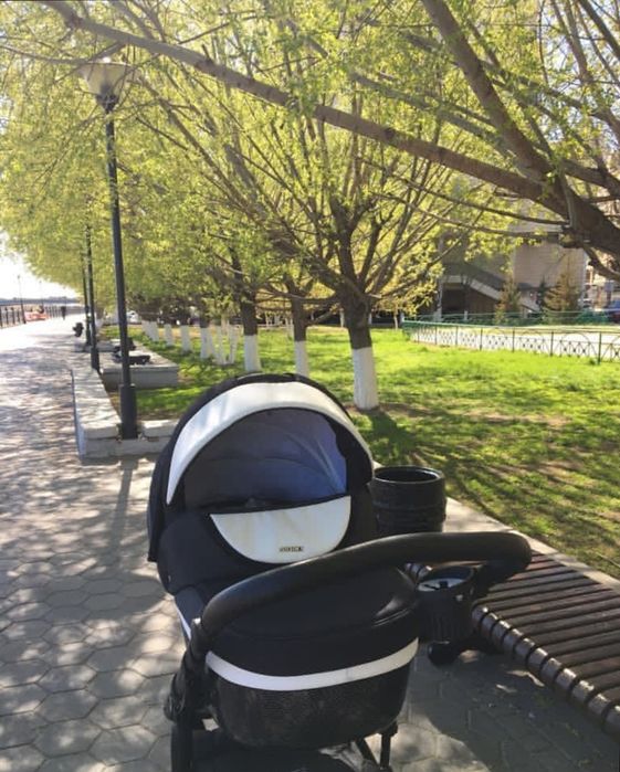 Коляска Adamex Monte Carbon  3в1