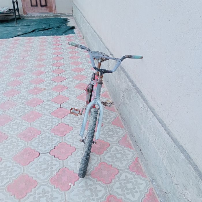 Велик 10 11 возраст