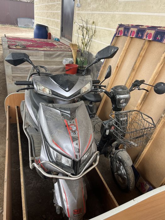 Док түгел номер жоқ