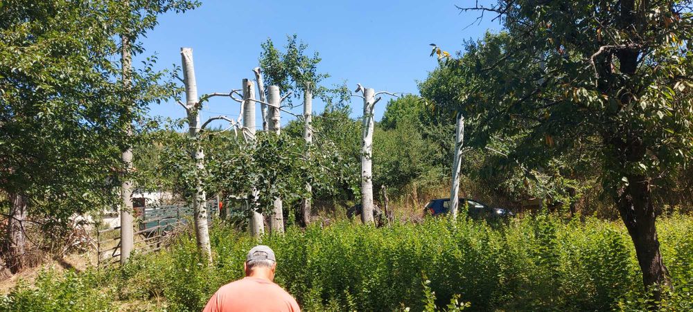 Продава се Парцел в Перник, Църква - 1440 кв.м за 46 €/кв.м - Снимка #20