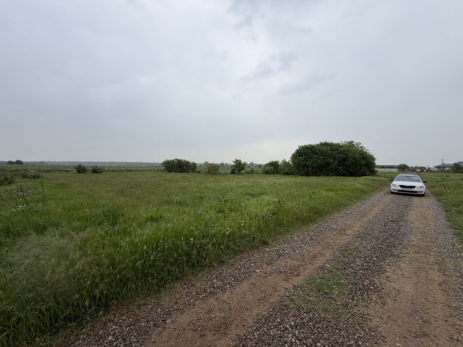 Teren de vânzare – Grădiștea, Ilfov | 2.000 mp | Ideal pentru casă sau investiție