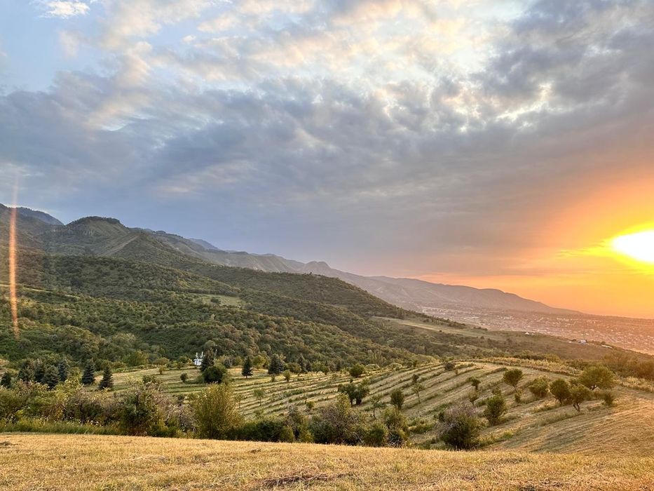 Продам сено в тюках.