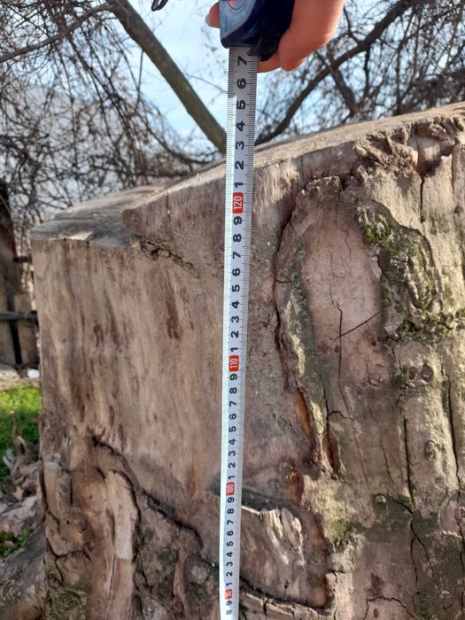 Дънер на Чинар гр. Варна