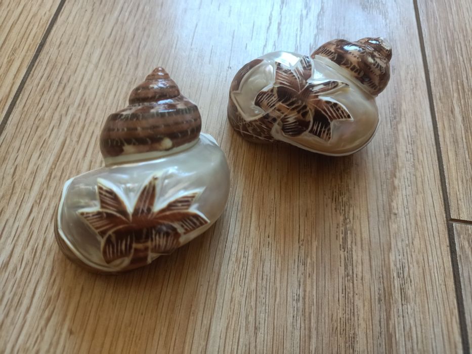 Ракушки от 1500 до 9000