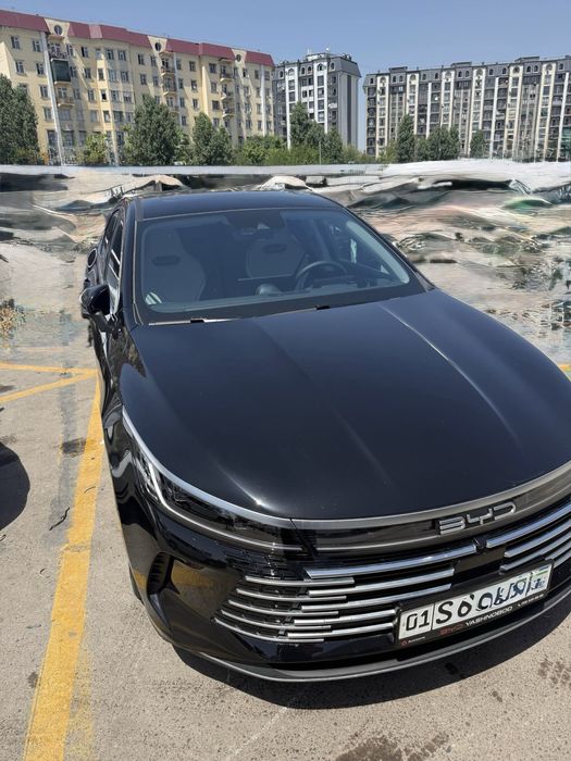 BYD chazor 120. Full
