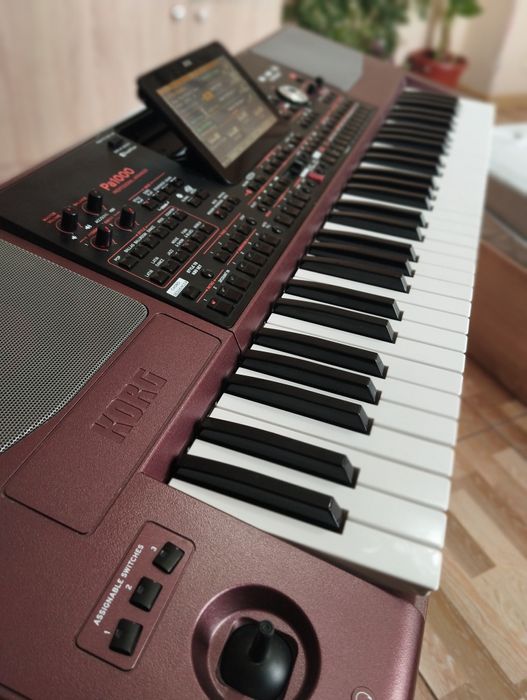 Korg Pa1000 Professional arranger