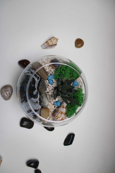 Флорариум с езеро - подарък за рожден ден и др поводи