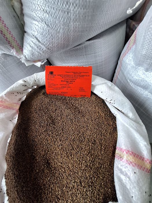 Sămânță Lucerna Certificata,Sparceta,Trifoi, Mazariche,Iarba ,Bromus