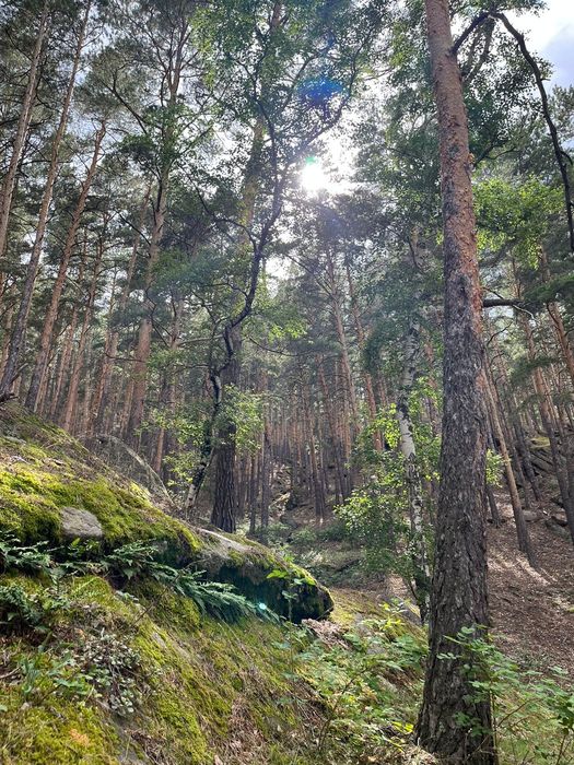 Боровое домики коттедж.