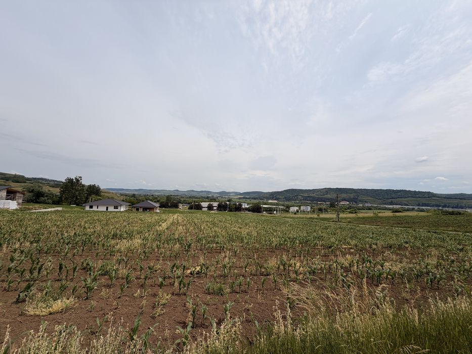 Teren intravilan