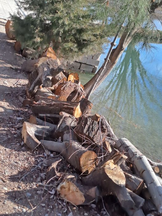 Дрова , утун бор 2 мошин чикади
