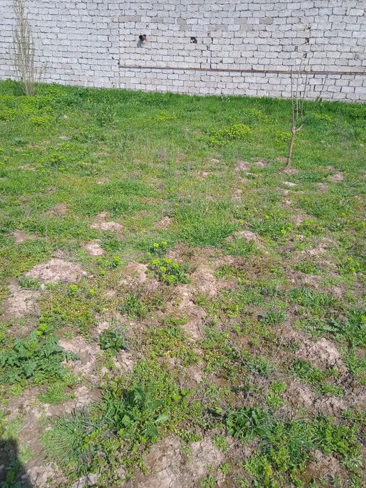 Ер сотилади яхши