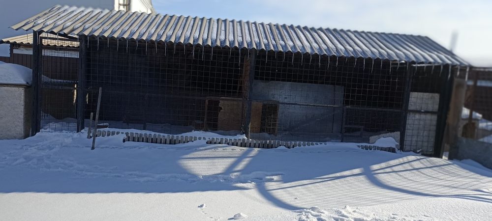Продам вольер для собак