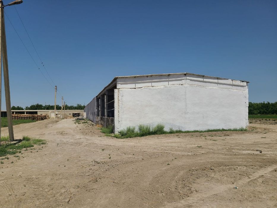 Нотурар бино сотилади