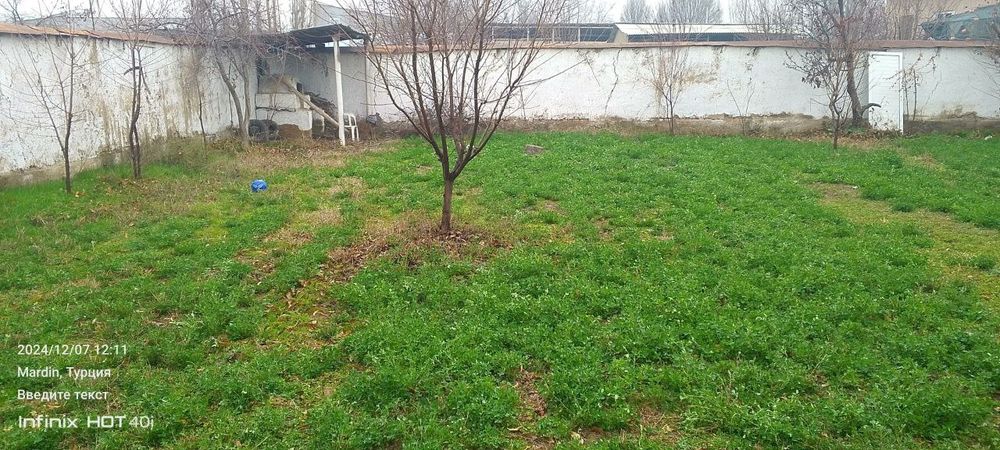 Yer uchatkasi zangota poʻstdan otganda karzinka kochasi yangi darhon