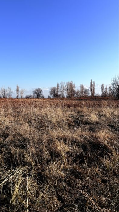 Продам участок каскелен. 8 соток.