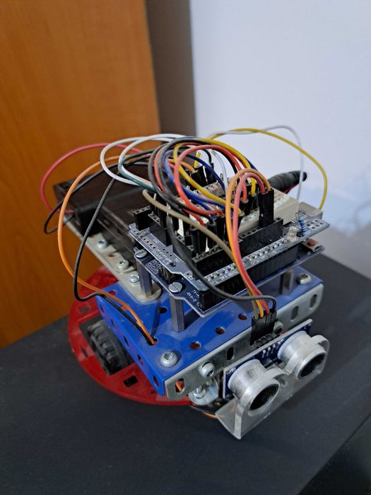 Proiect facultate robot autonom