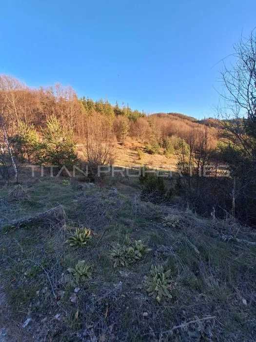 Продава се Парцел в Пловдив, Тракия - 4000 кв.м за 62 €/кв.м - Снимка #4