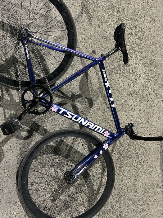 Tsunami snm 100 chameleon