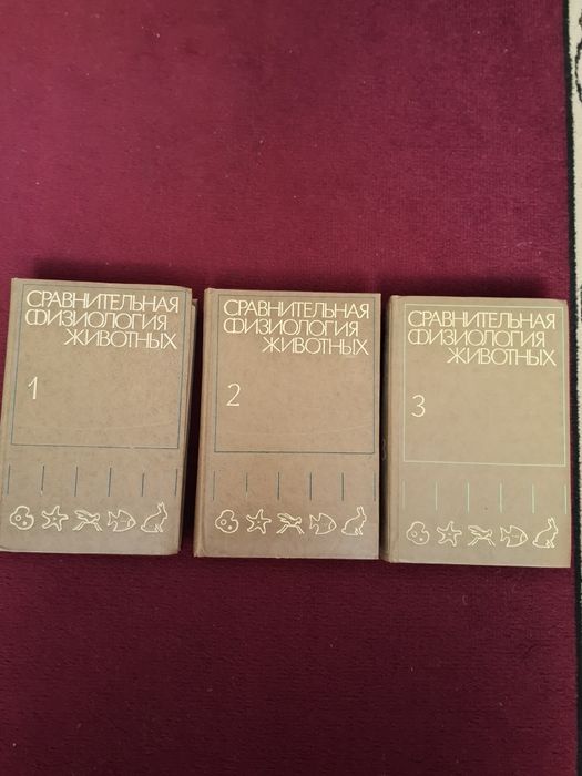 Книги на разные интересы.