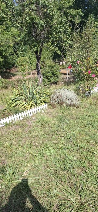 Продава се Къща в с. Муртинци, Област Перник - 24 кв.м за 1250 €/кв.м - Снимка #3