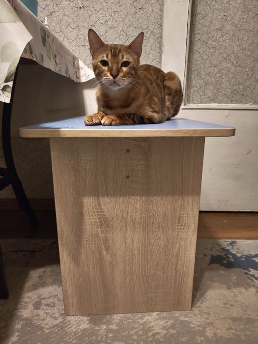 Столик  для малышей