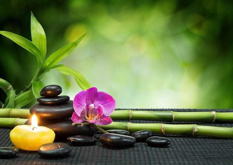 Masaj de relaxare & terapeutic la domiciliu