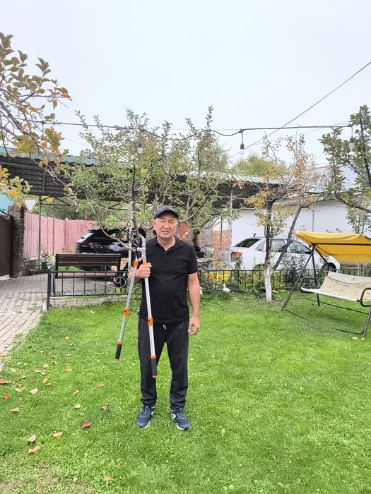 Обрезка деревьев. Обработка деревьев