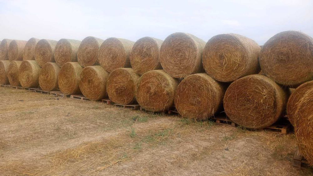 Рулонни бали овес 130€/тон