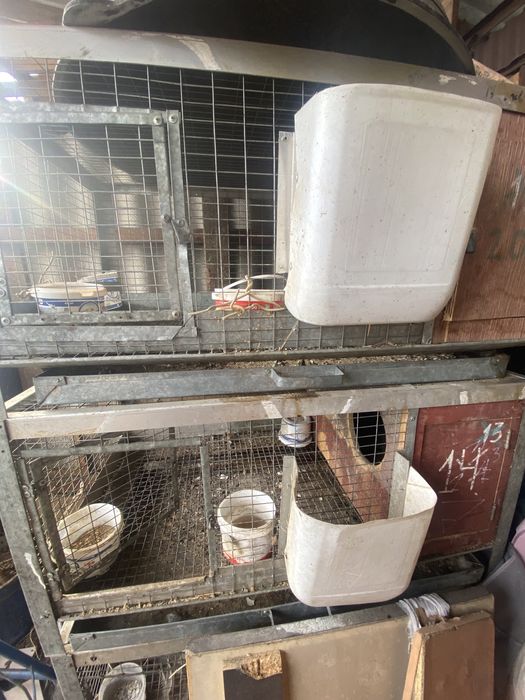 Клетки для кроликов