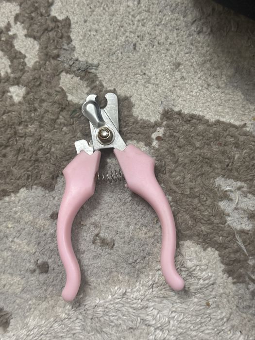 Лежак миска для собачки кошки