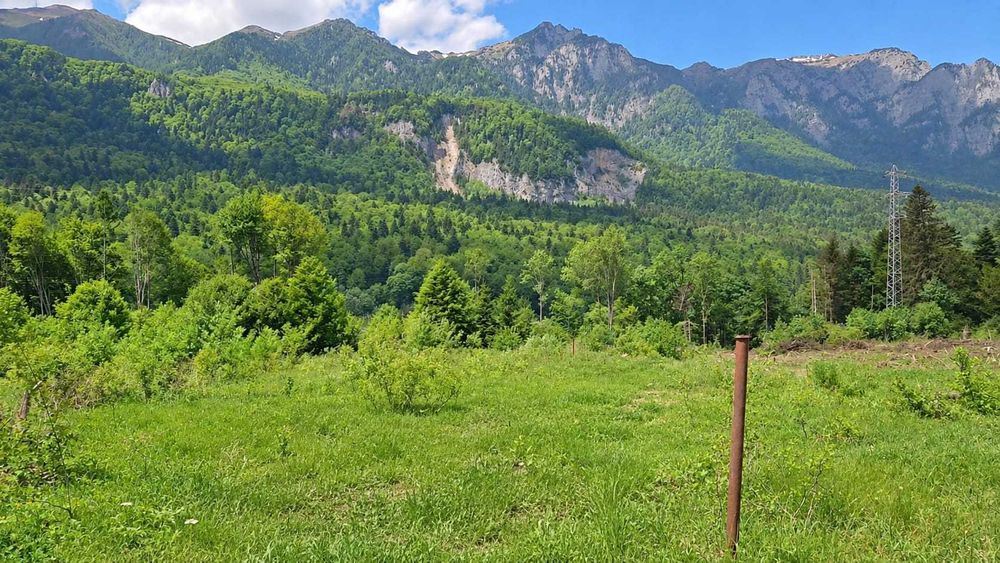 Vand teren Sinaia - Vedere 3