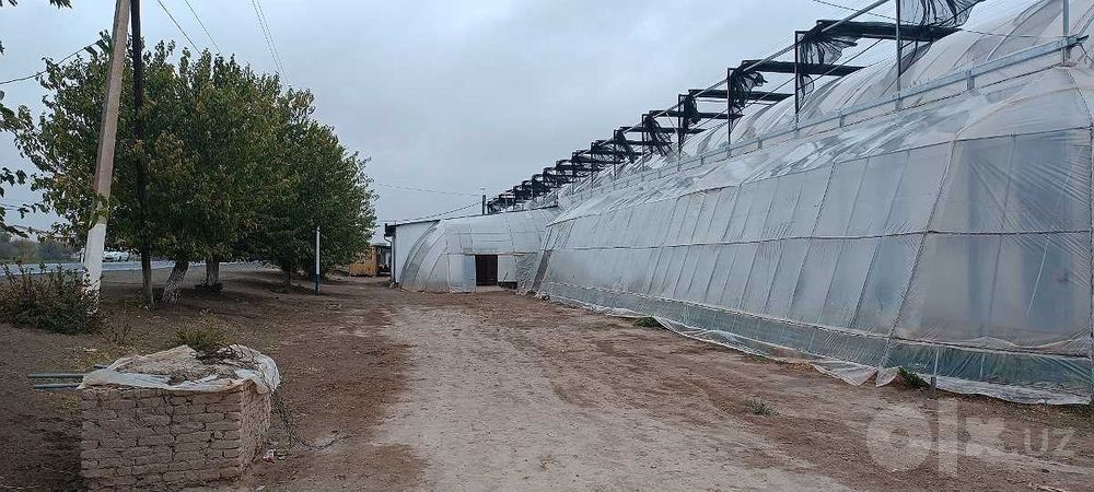 Gidroponika va oddiy usuldagi issiqxona inshoati
