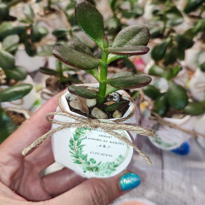 Малки подаръчета за гости за всеки повод