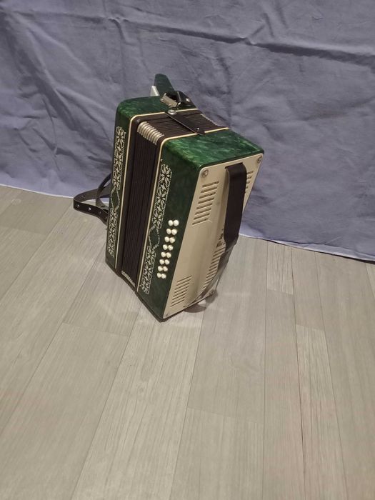 Акордеон за юноши